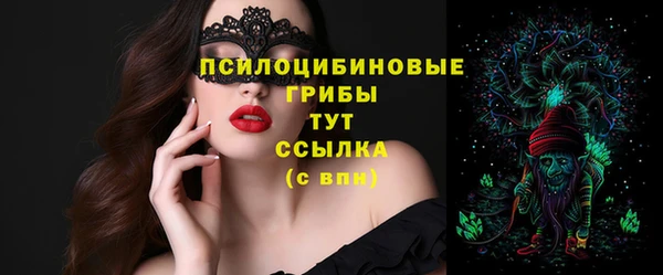 СК Абаза