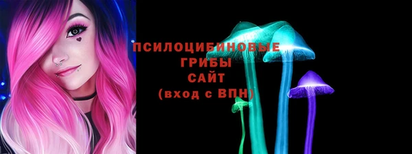СК Абаза