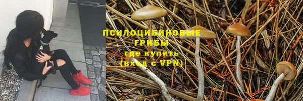 сатива Абдулино