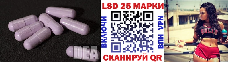 ЛСД экстази ecstasy наркота Кингисепп