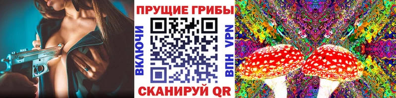 Галлюциногенные грибы прущие грибы  kraken   Кингисепп 