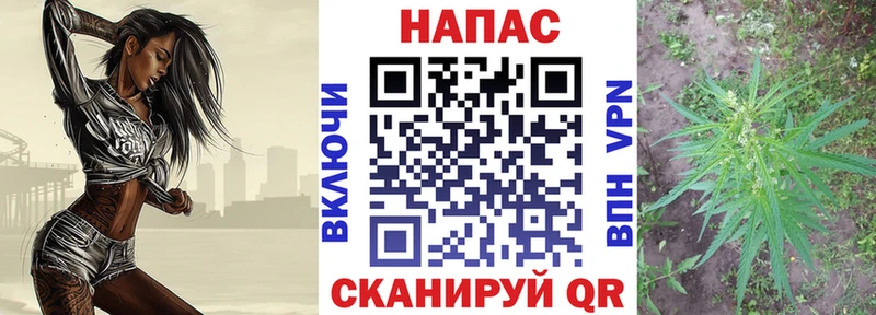 Шишки марихуана индика  цены   Кингисепп 
